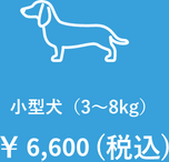 小型犬（3kg～8kg）￥6,600(税込)