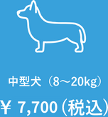 中型犬（8kg～20kg）￥6,600(税込)