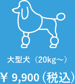 大型犬（20kg～）￥9,900(税込)