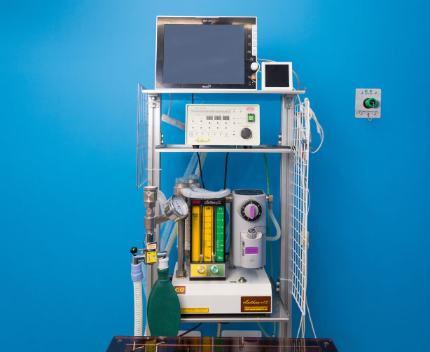 吸入麻酔器、麻酔管理装置、人工呼吸器