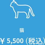 猫￥5,500(税込)